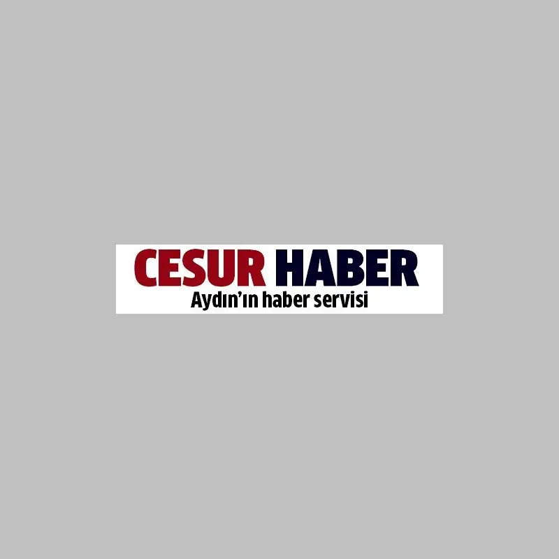 AYDIN CESUR HABER